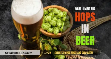 The Magic of Malt and Hops in Beer