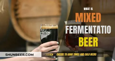 Exploring the Art of Mixed Fermentation Beer: A Unique Craft