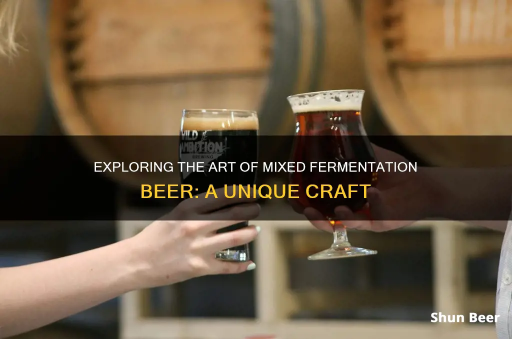 what is mixed fermentation beer