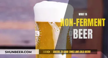 Exploring the World of Non-Fermented Beer: A Unique Brew Experience