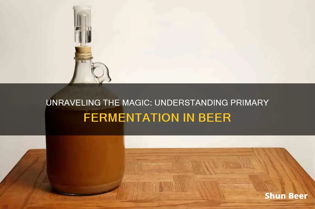 what is primary fermentation in beer