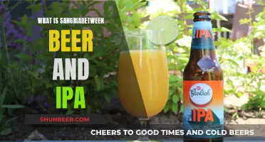 Beer, Sangria, and IPAs: What's the Difference?