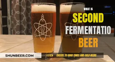 Uncorking the Magic: Exploring Second Fermentation Beer