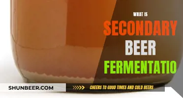 Unraveling the Magic: Understanding Secondary Beer Fermentation