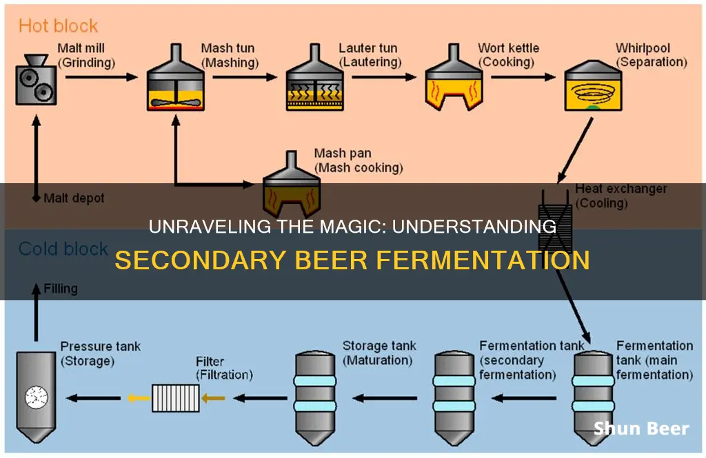 what is secondary beer fermentation