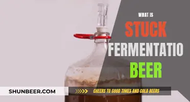 Unraveling the Mystery: Stuck Fermentation Beer Explained