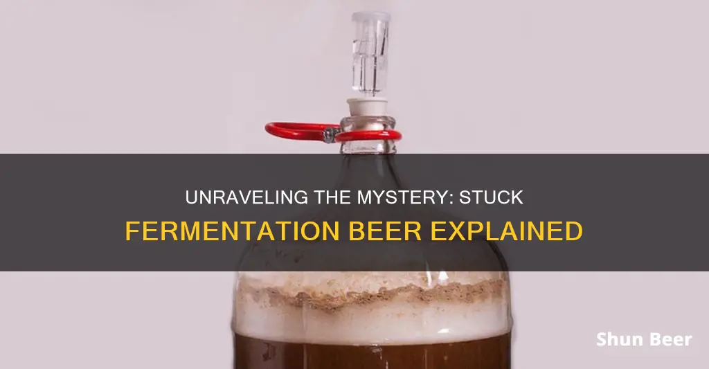 what is stuck fermentation beer