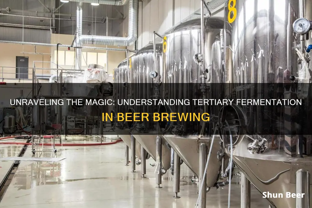 what is tertiary fermentation in beer making