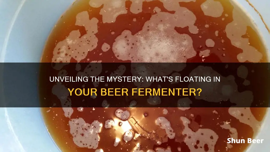 what is that floating in my beer fermenter