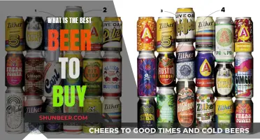 Best Beer Buys: Top Recommendations for Beer Lovers