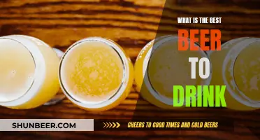 The Best Beer to Drink: A Comprehensive Guide