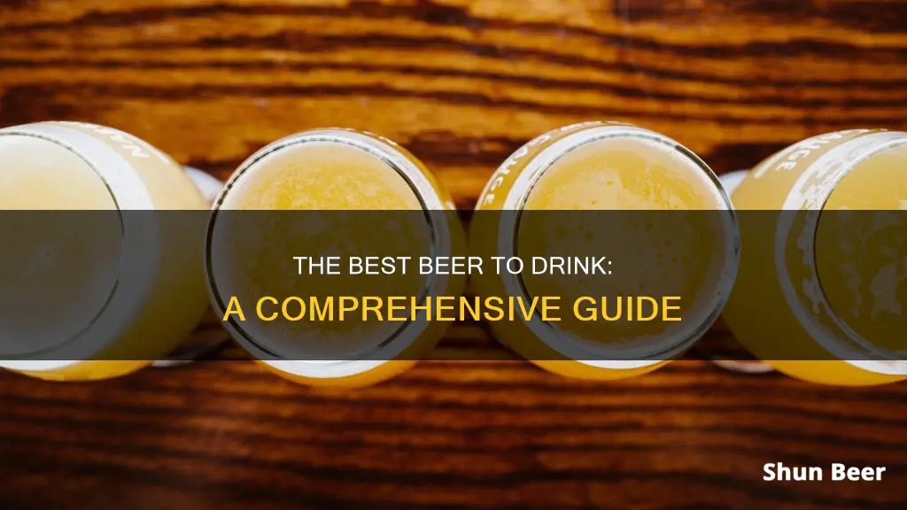 what is the best beer to drink