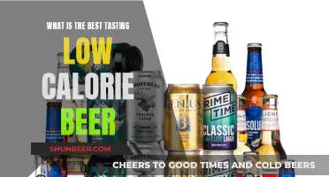 The Best Low-Calorie Beers: Taste Without the Guilt