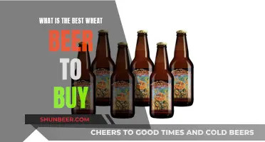 Wheat Beer Buying Guide: Best Brews to Try