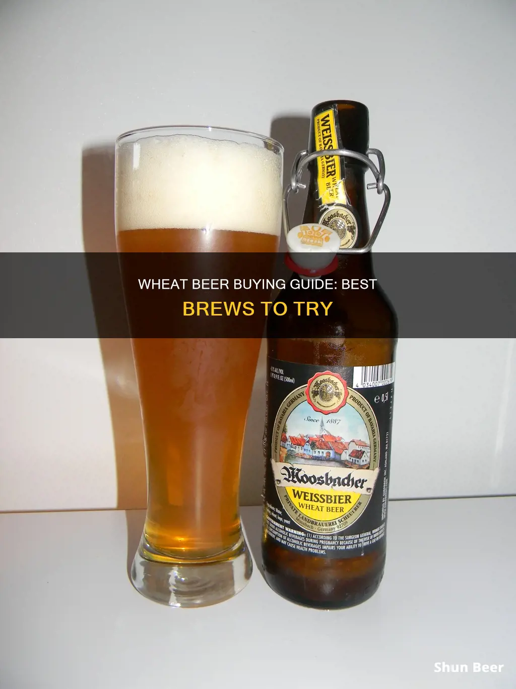 what is the best wheat beer to buy