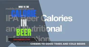 Beer Calories: Understanding the Energy Content