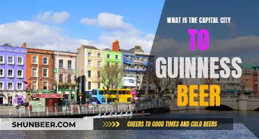 The Capital City of Guinness Beer: A Cultural Journey