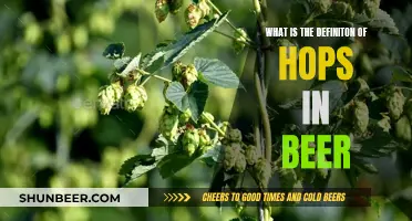 The Magic of Hops: Defining Beer's Signature Character