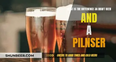 Explore the Nuances: 3A Draft Beer vs Pilsner