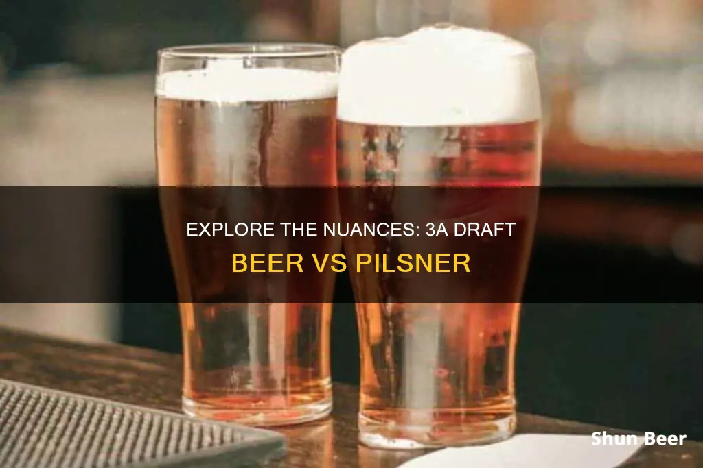 what is the difference 3a draft beer and a pilnser