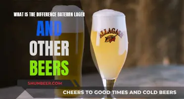 Lager vs Beer: What's the Difference?