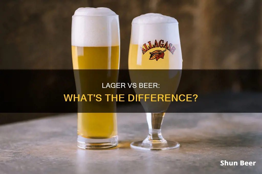 what is the difference baterrn lager and other beers