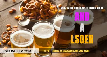 Beer vs Lager: What's the Difference?