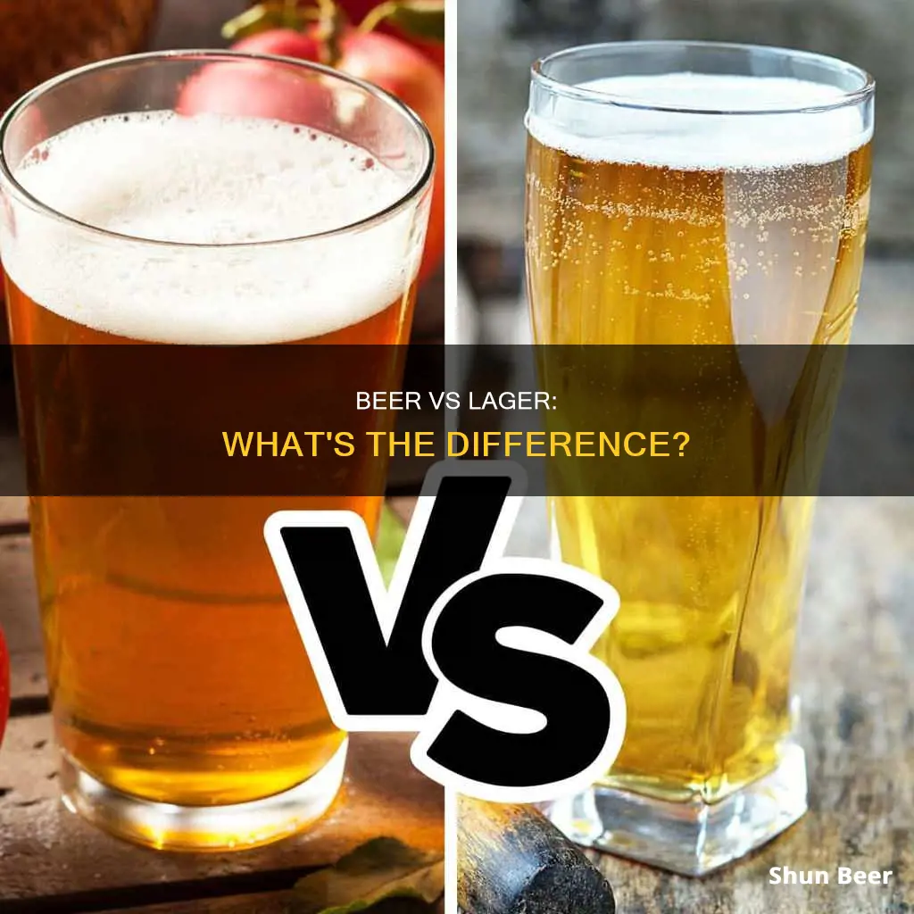 what is the difference berween a beer and a lsger