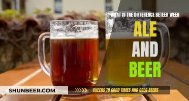 Explore the Difference Between Ales and Beers