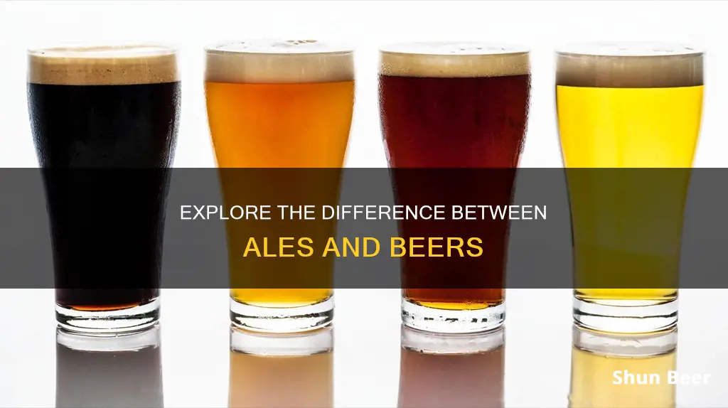 what is the difference beteer ween ale and beer