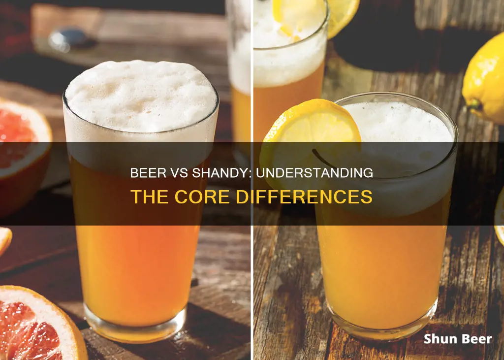 what is the difference between a beer and a shandy