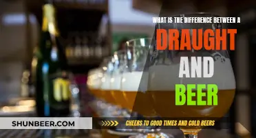 Draught vs Beer: What's the Difference?