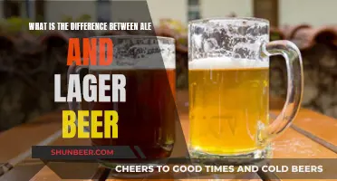 Explore the Difference Between Ales and Lagers