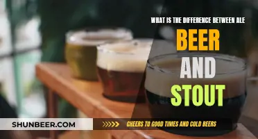 Stout vs Ale Beer: Understanding the Key Differences