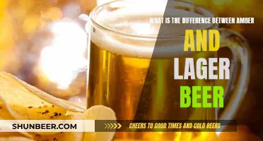 Explore Amber and Lager Beer: Their Unique Differences