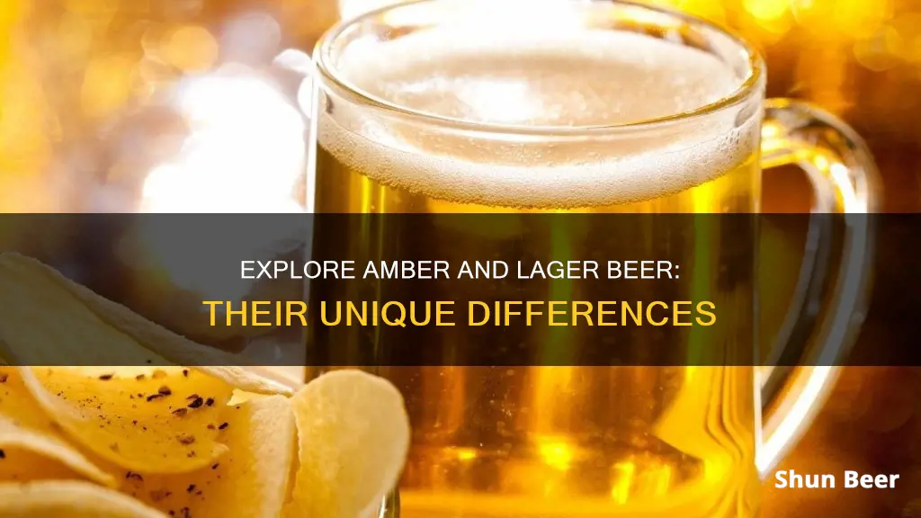 what is the difference between amber and lager beer