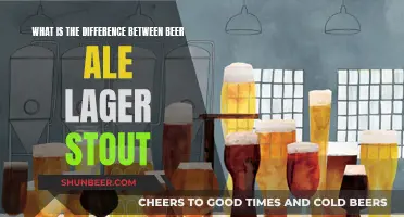 Beer, Ale, Lager, Stout: What Sets Them Apart?