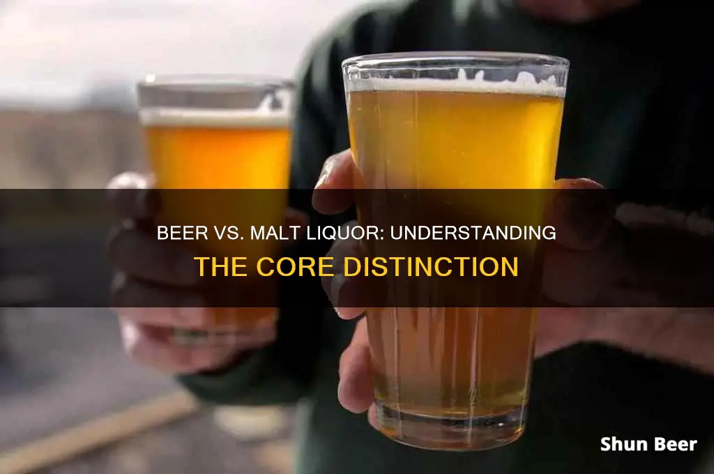 what is the difference between beer and malt licqure