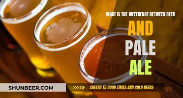 Beer vs Pale Ale: What's the Difference?