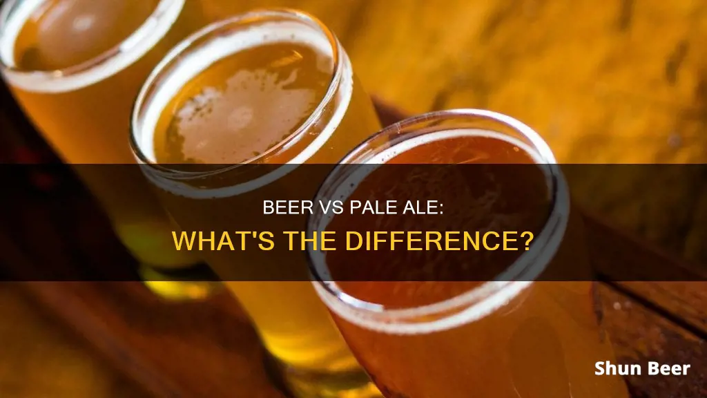 what is the difference between beer and pale ale