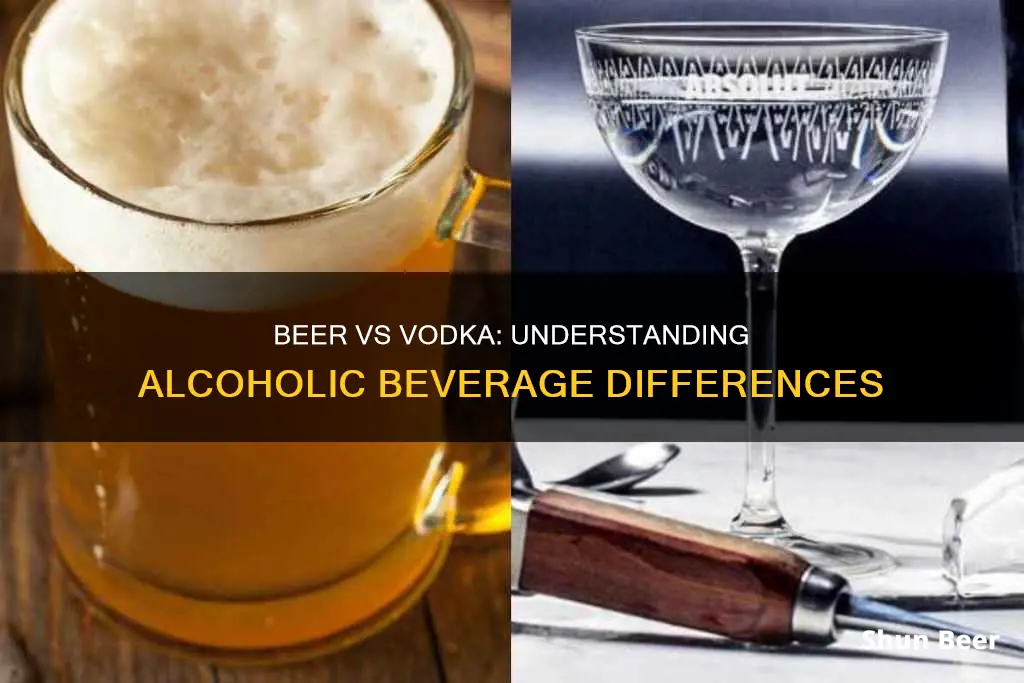 what is the difference between beer and vodka