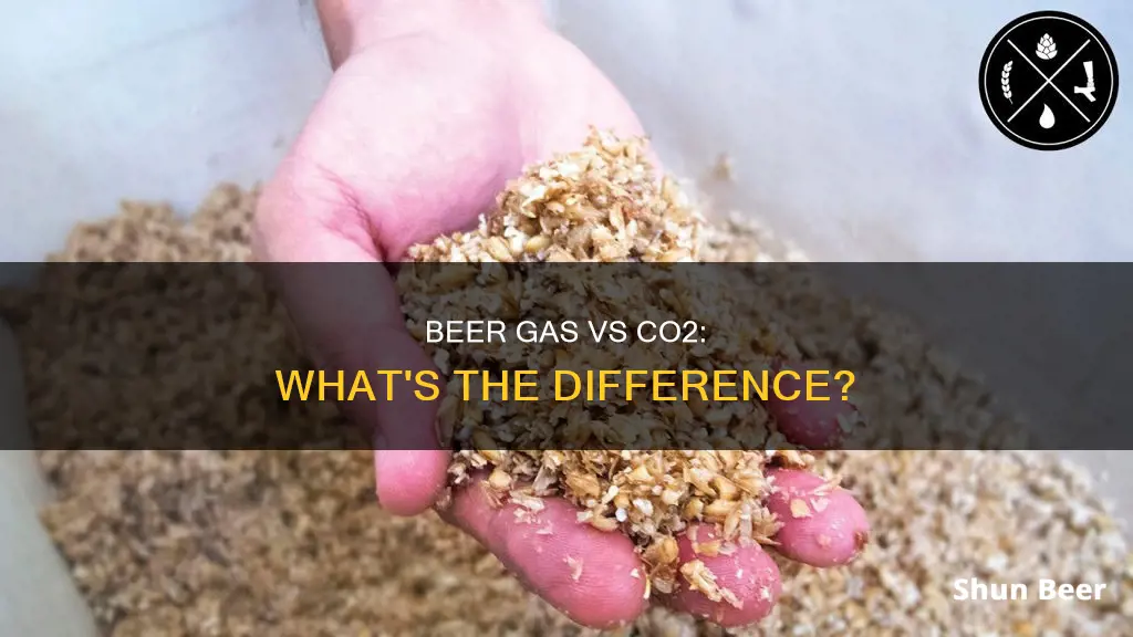 what is the difference between beer gas and co2