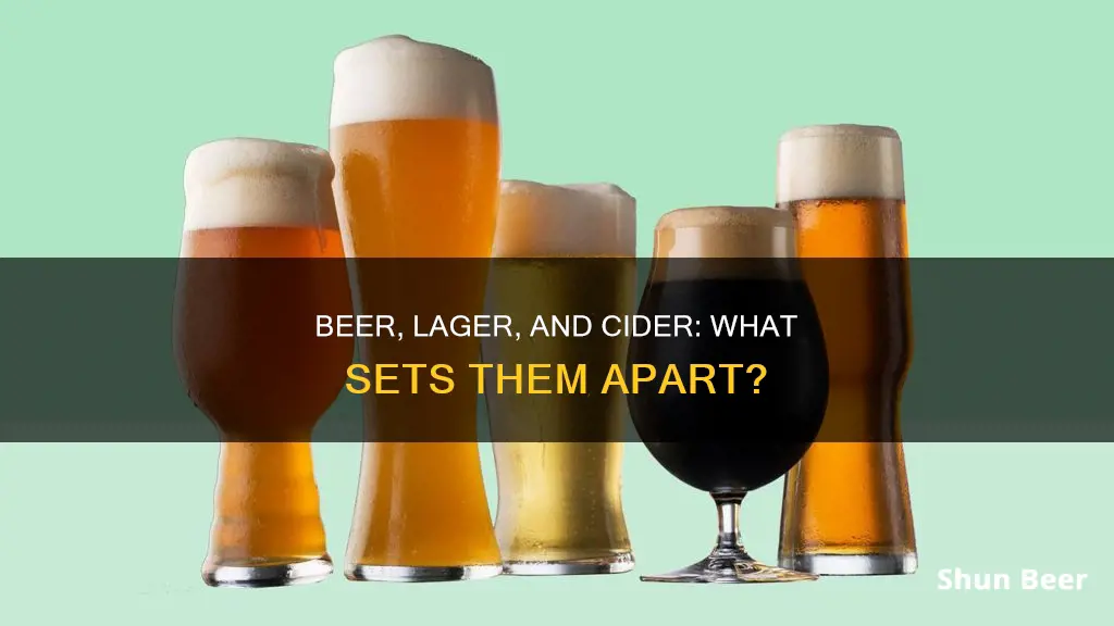 what is the difference between beer lager and cider