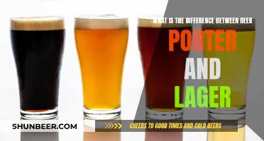 Explore Beer's Nuances: Porters vs Lagers