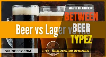 Beer Types: Understanding the Key Differences and Varieties