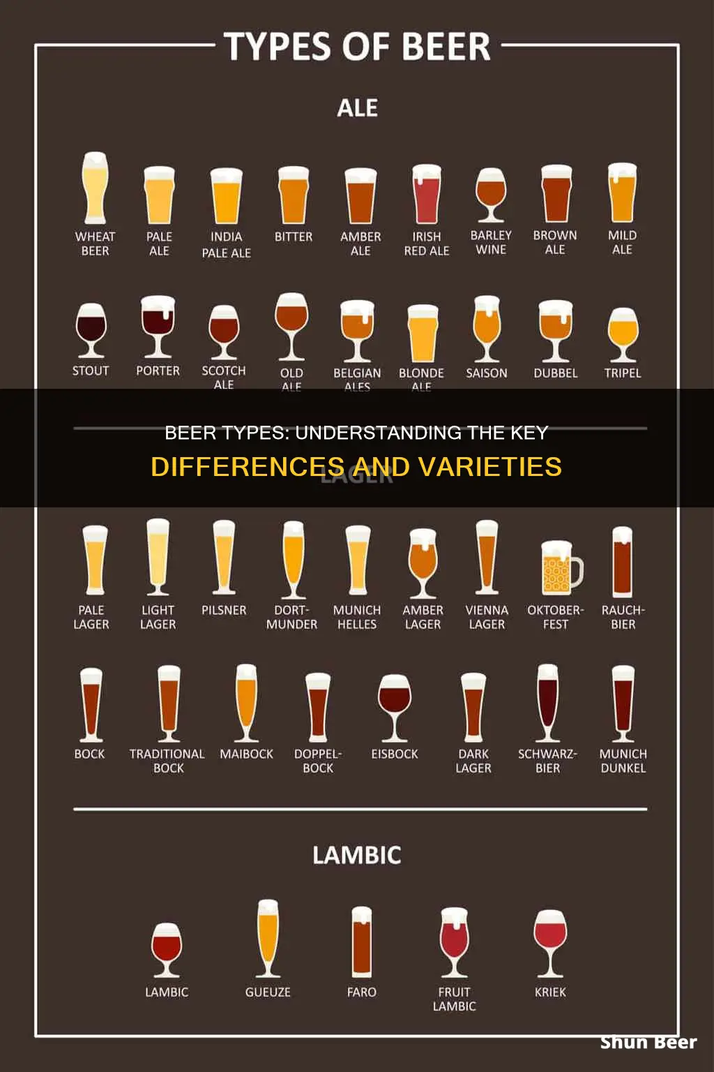 what is the difference between beer typez