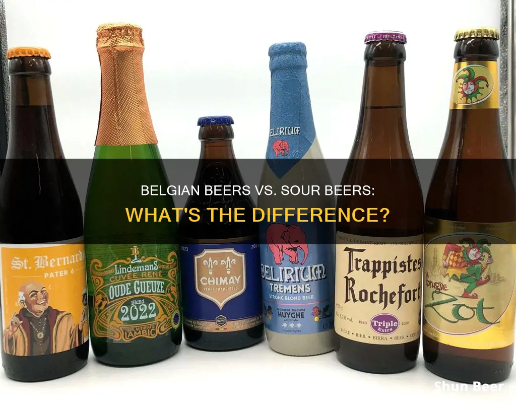 what is the difference between belgian beers and sour beers