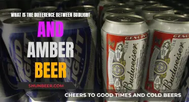 Budlight vs Amber Beer: Taste, Color, and Alcohol Content