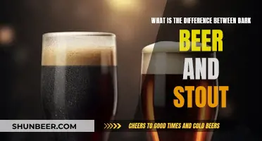 Dark Beer vs Stout: Unveiling the Mystery