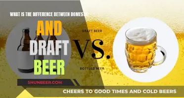 Domestic vs Draft Beer: What's the Real Difference?